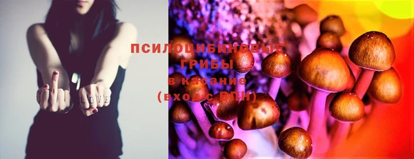 дживик Баксан