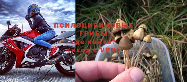 дживик Баксан