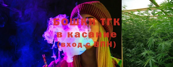 дживик Баксан